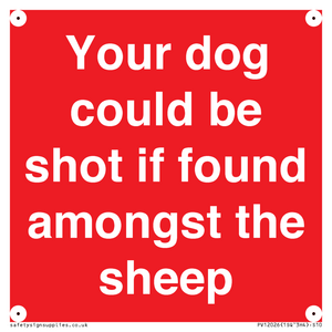 Your dog could be shot if found amongst the sheep